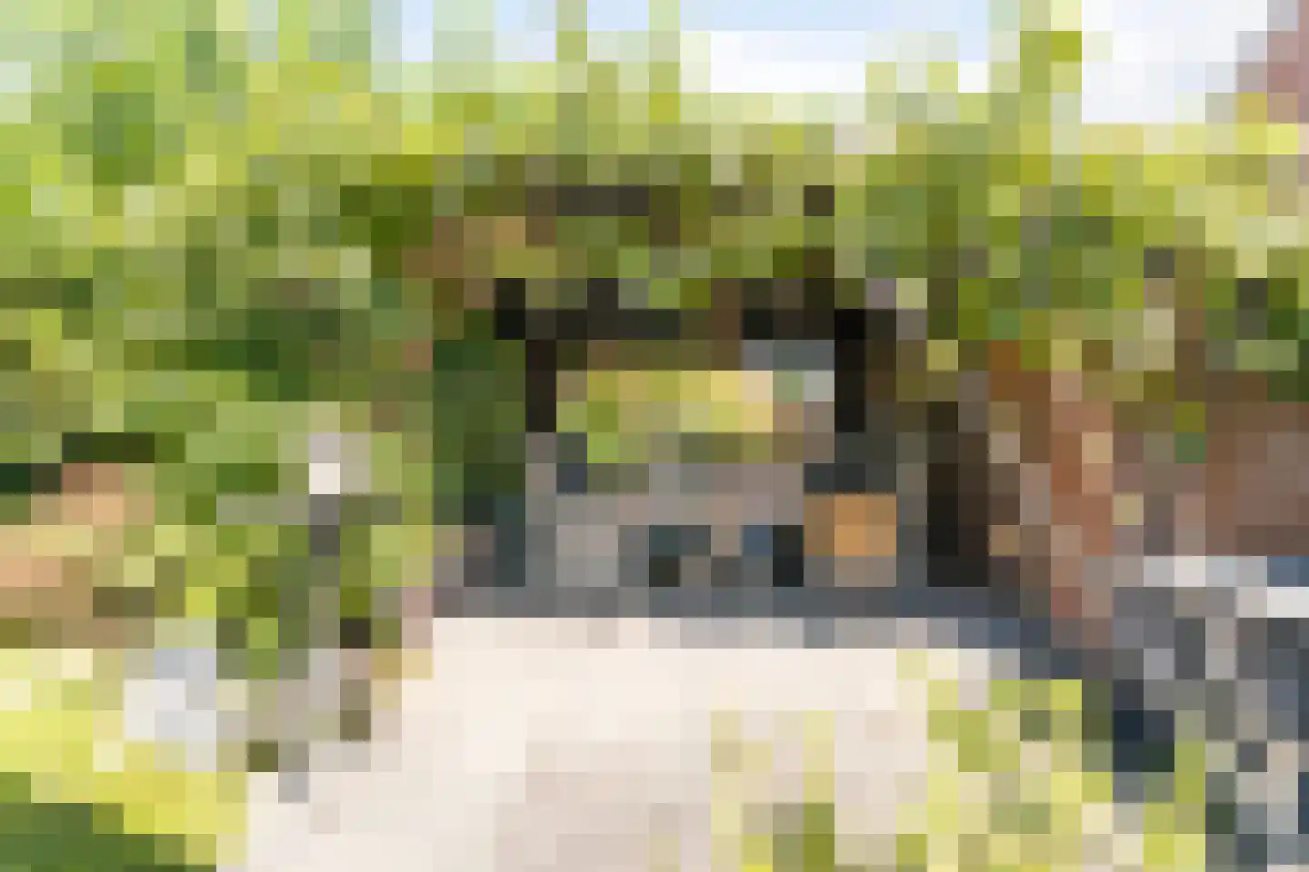 Hogehoek 8 Oeffelt thumbnail 52