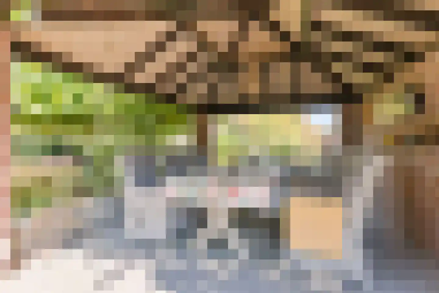 Hogehoek 8 Oeffelt thumbnail 54