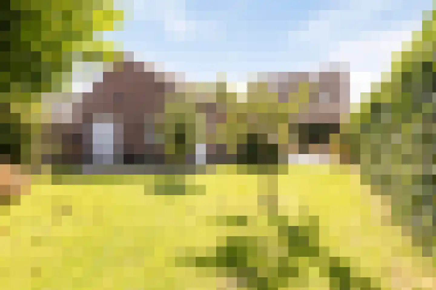 Hogehoek 8 Oeffelt thumbnail 57