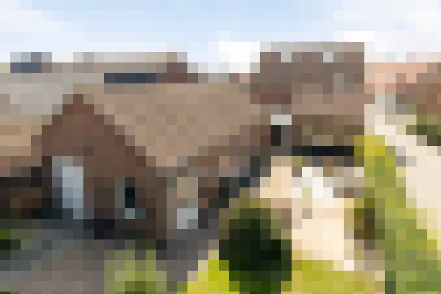 Hogehoek 8 Oeffelt thumbnail 59