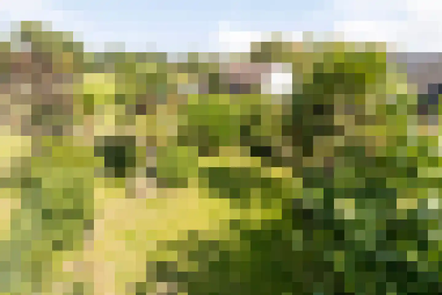 Hogehoek 8 Oeffelt thumbnail 61