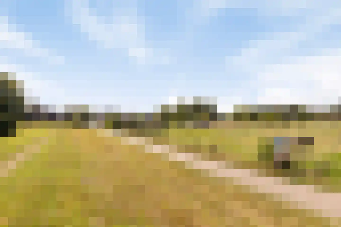 Hogehoek 8 Oeffelt thumbnail 63