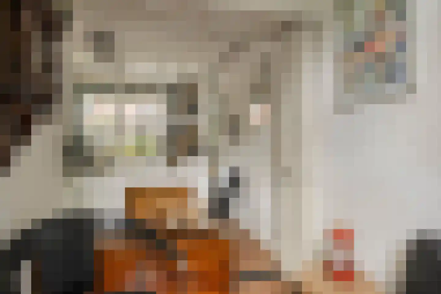 Hogehof 42 Rotterdam thumbnail 10