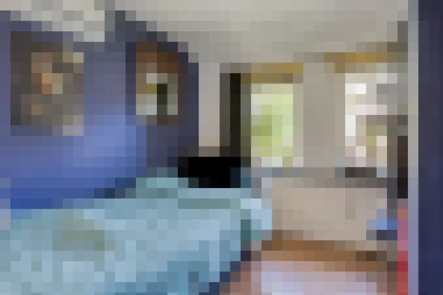 Hogehof 42 Rotterdam thumbnail 19