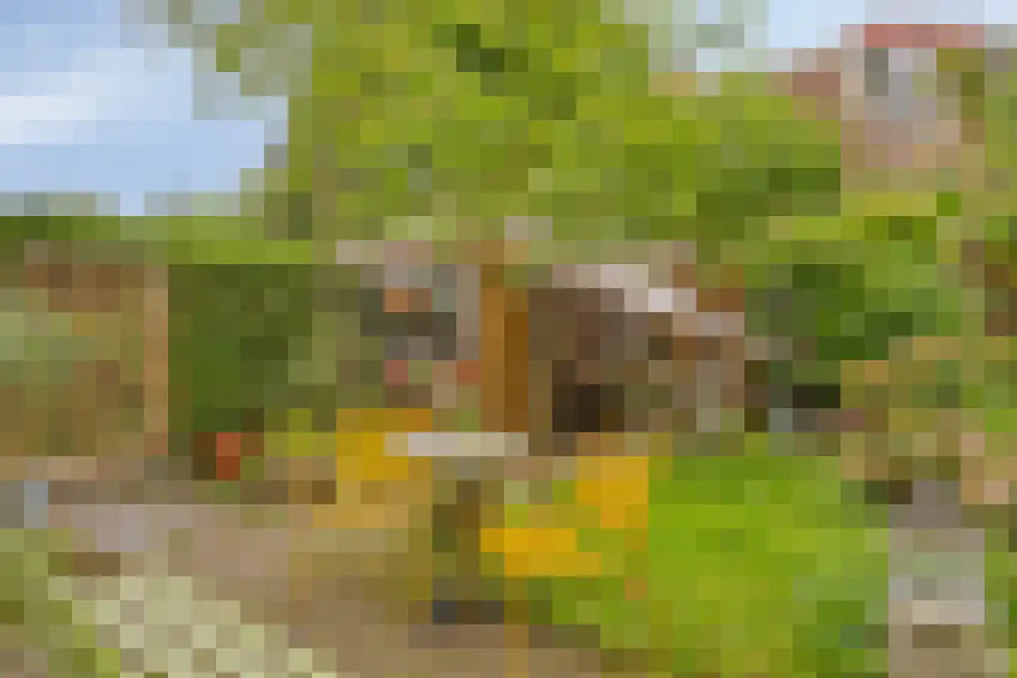 Hogehof 42 Rotterdam thumbnail 23