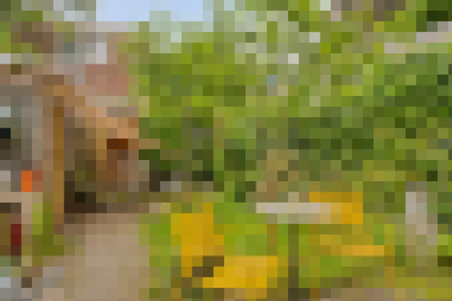 Hogehof 42 Rotterdam thumbnail 24