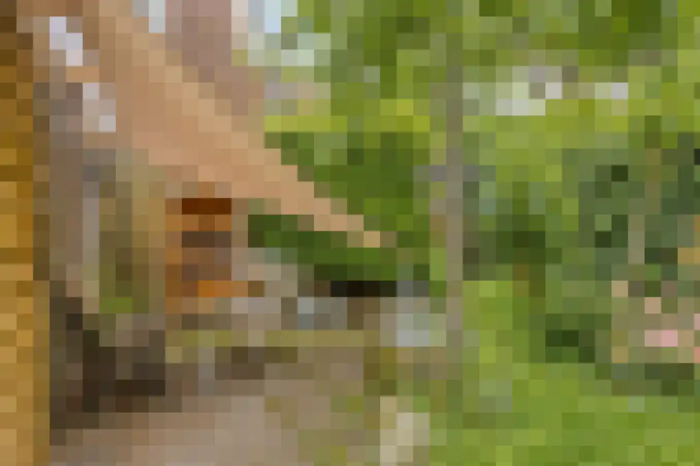 Hogehof 42 Rotterdam thumbnail 25