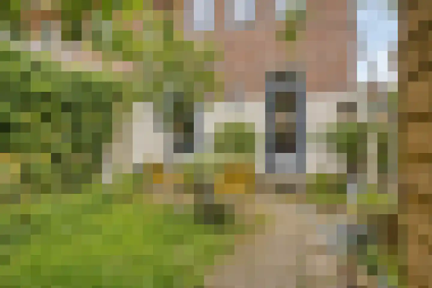 Hogehof 42 Rotterdam thumbnail 26