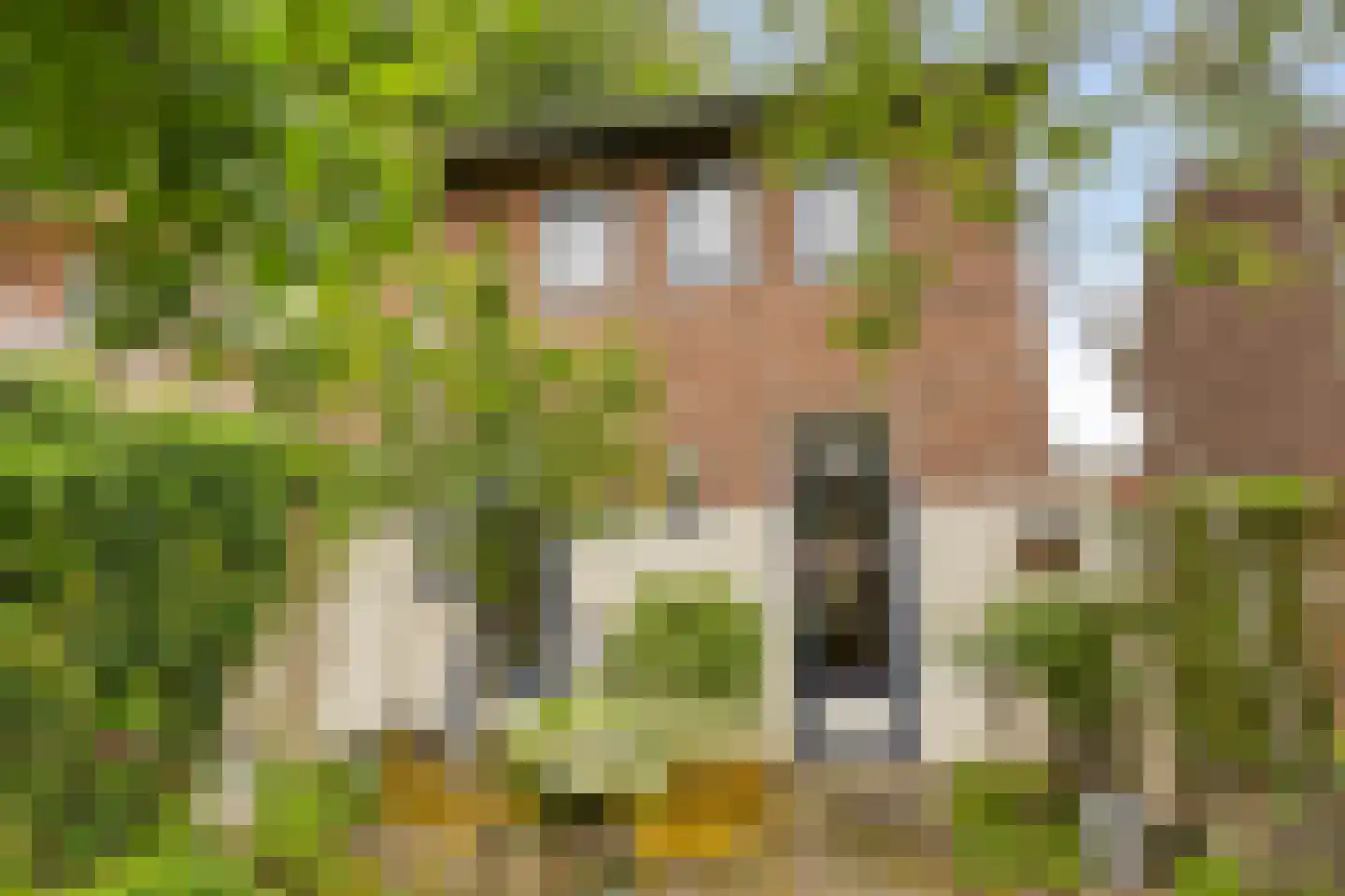 Hogehof 42 Rotterdam thumbnail 27