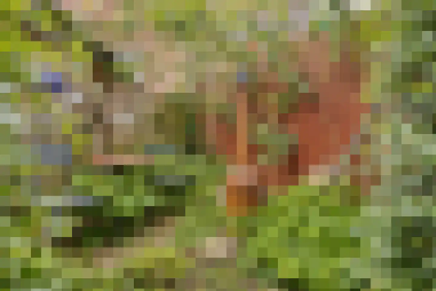 Hogehof 42 Rotterdam thumbnail 28