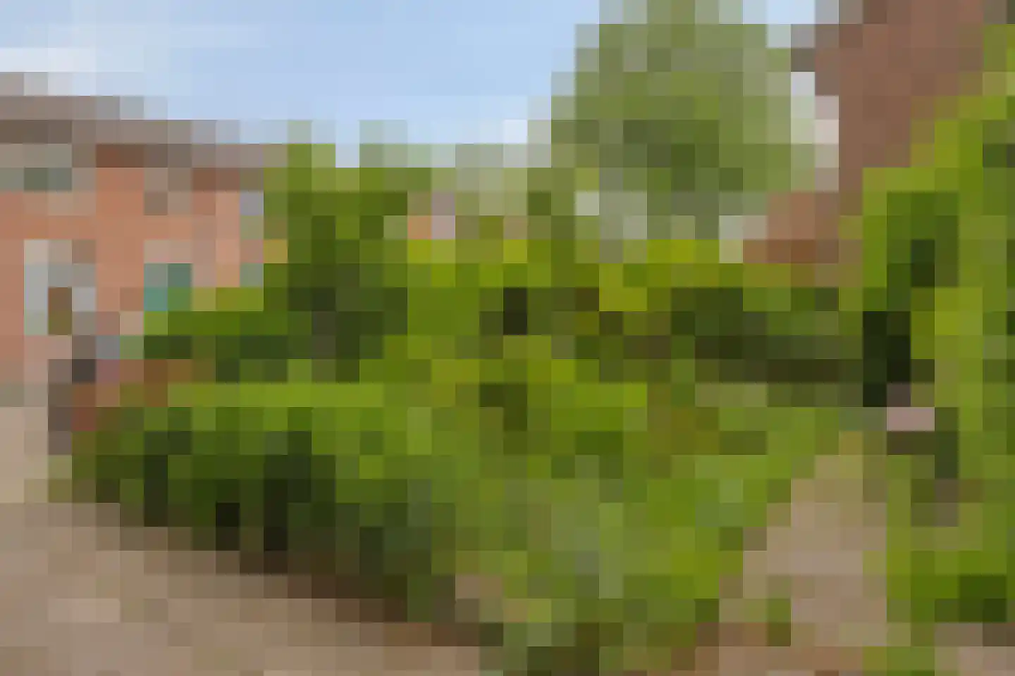 Hogehof 42 Rotterdam thumbnail 31