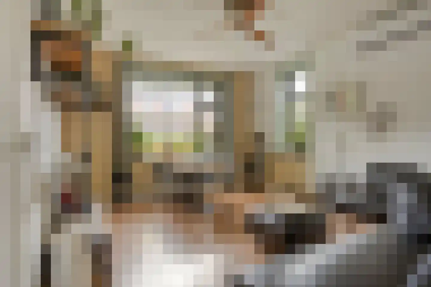 Hogehof 42 Rotterdam thumbnail 5