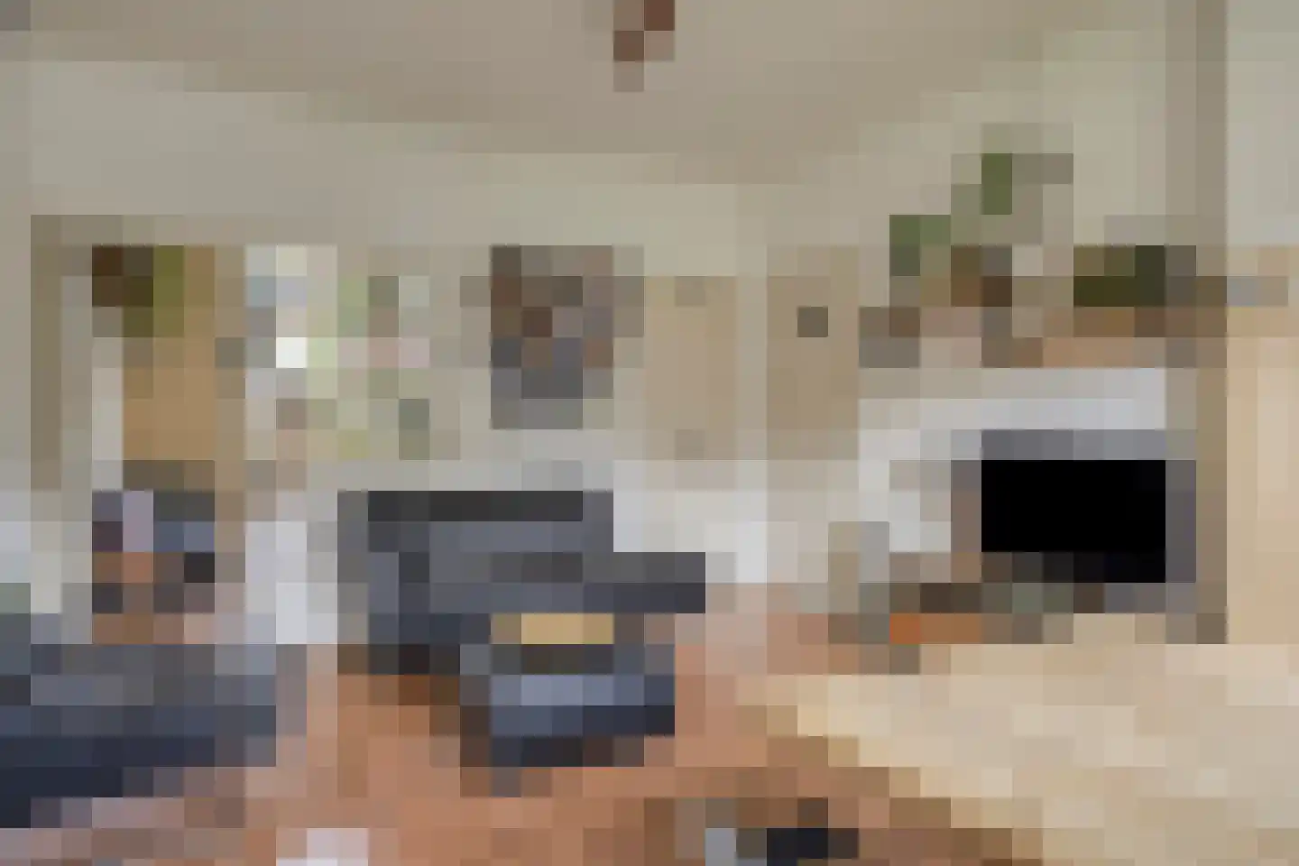 Hogehof 42 Rotterdam thumbnail 8