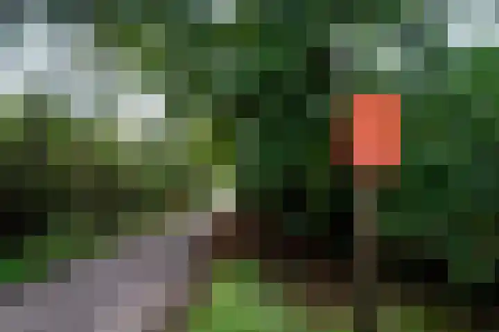 Hogekampweg 15 Stroe thumbnail 65