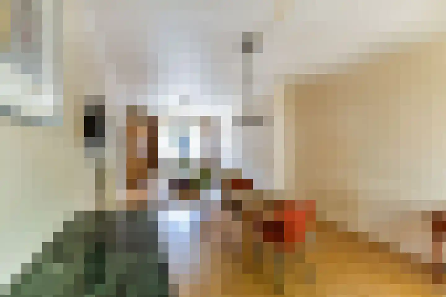 Hogekampweg 28 Venlo thumbnail 8