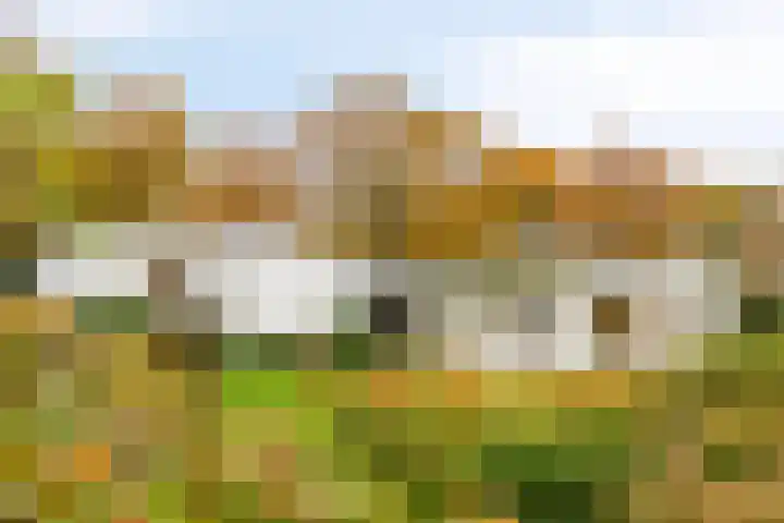 Hogekant 14 Dongen thumbnail 10