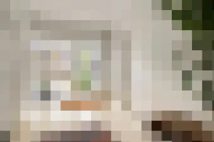 Hogekant 14 Dongen thumbnail 11