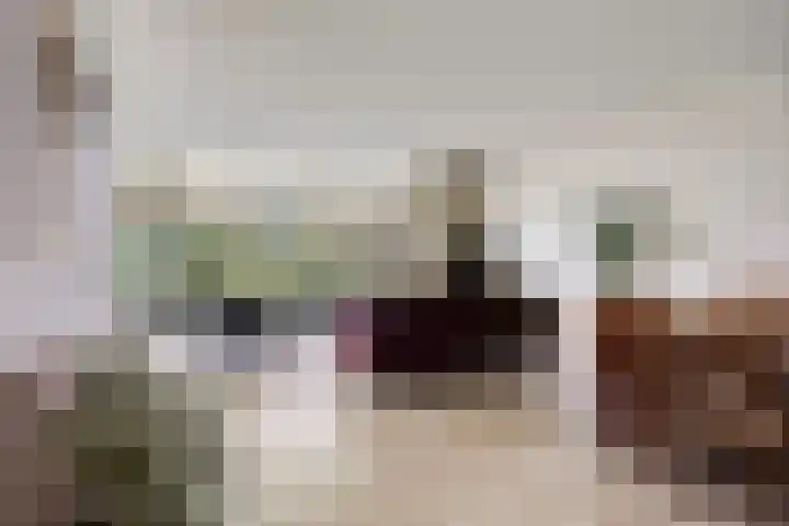 Hogekant 14 Dongen thumbnail 15