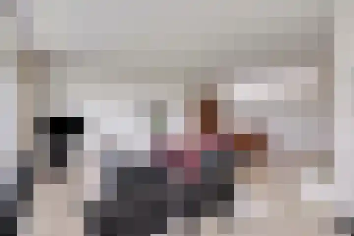 Hogekant 14 Dongen thumbnail 17