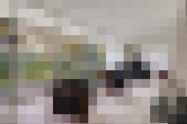 Hogekant 14 Dongen thumbnail 19