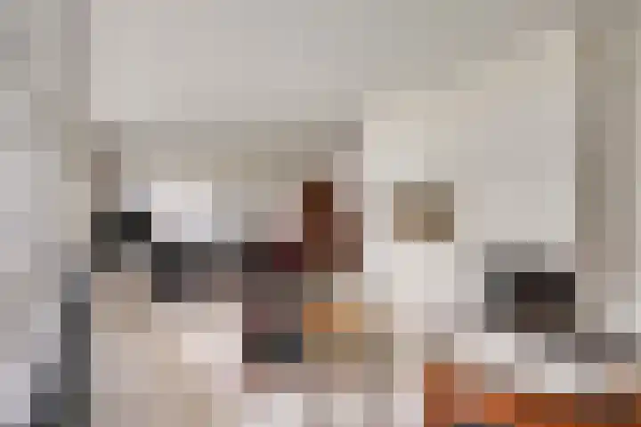 Hogekant 14 Dongen thumbnail 20