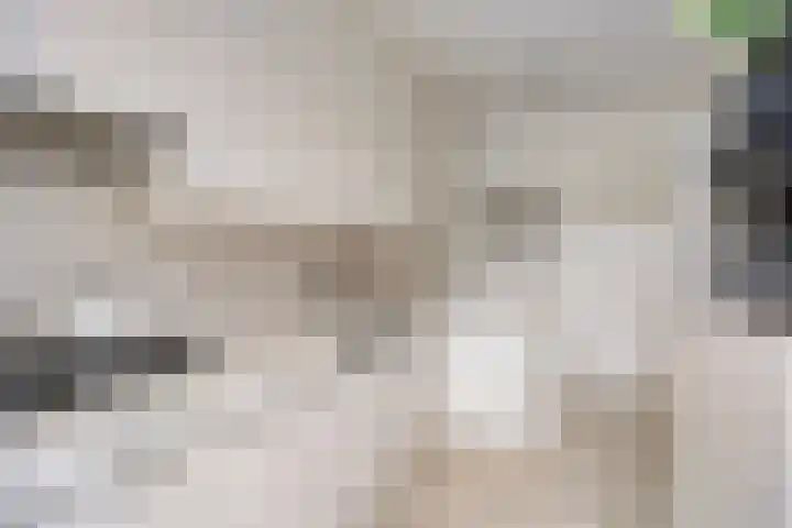Hogekant 14 Dongen thumbnail 22
