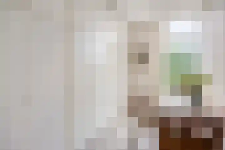 Hogekant 14 Dongen thumbnail 30