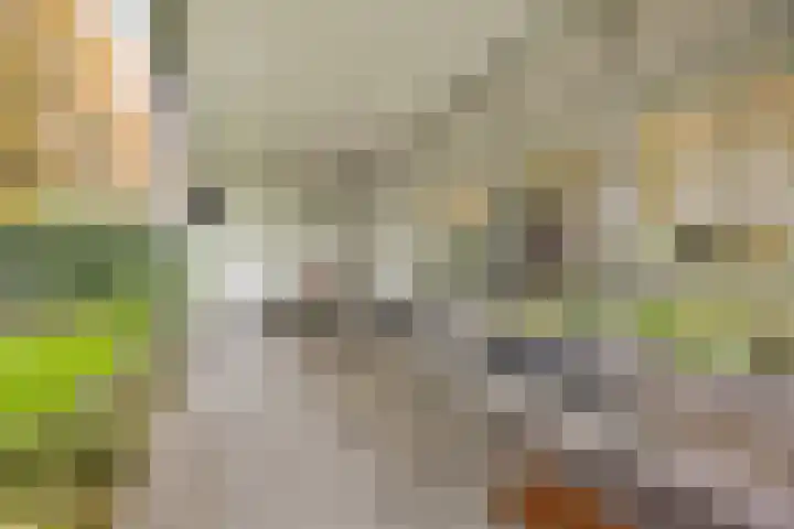 Hogekant 14 Dongen thumbnail 32