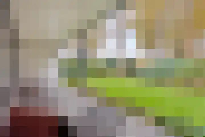 Hogekant 14 Dongen thumbnail 33