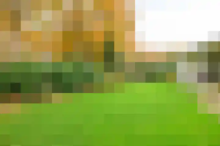 Hogekant 14 Dongen thumbnail 34