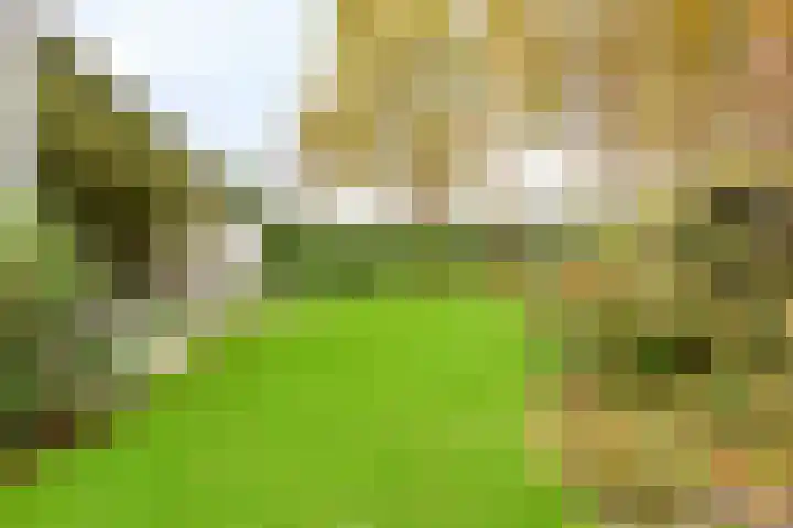 Hogekant 14 Dongen thumbnail 36