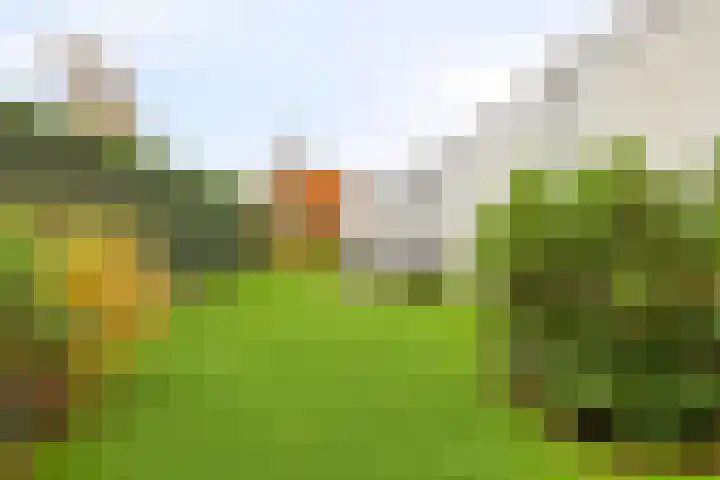 Hogekant 14 Dongen thumbnail 37
