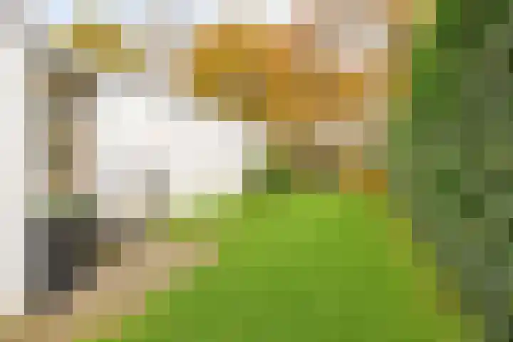 Hogekant 14 Dongen thumbnail 38