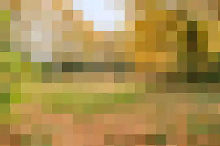 Hogekant 14 Dongen thumbnail 39