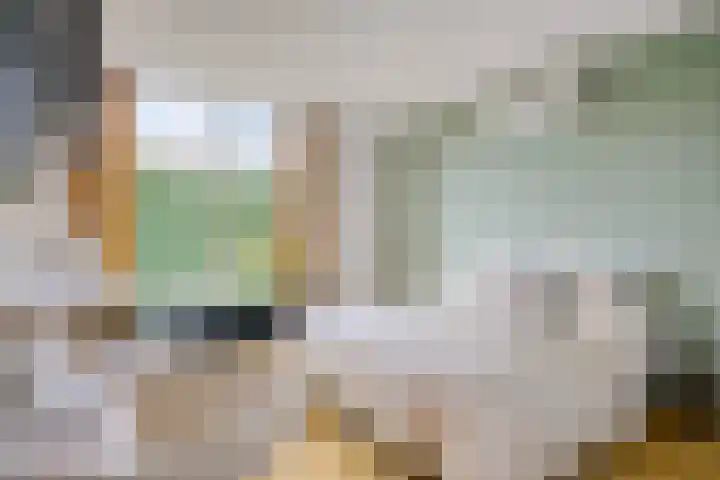 Hogekant 14 Dongen thumbnail 4