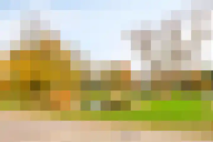 Hogekant 14 Dongen thumbnail 40