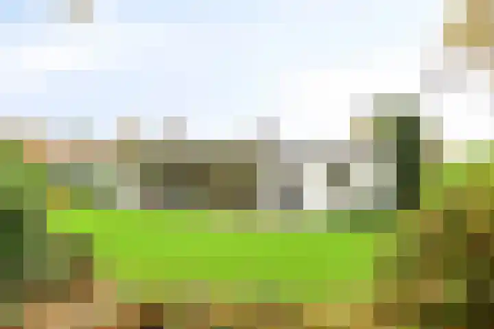 Hogekant 14 Dongen thumbnail 6