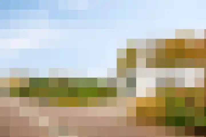 Hogekant 14 Dongen thumbnail 7