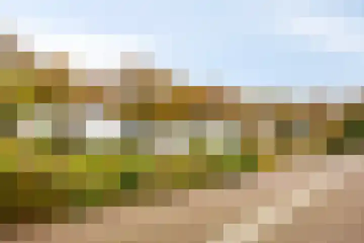 Hogekant 14 Dongen thumbnail 8