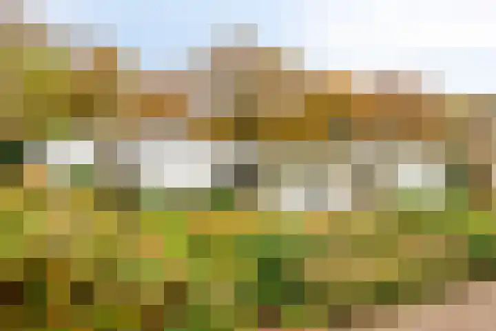 Hogekant 14 Dongen thumbnail 9