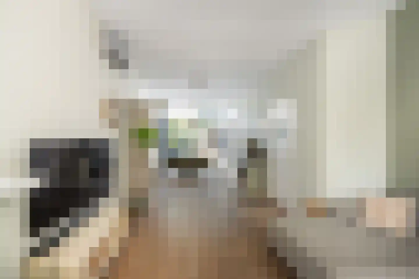 Hogelaan 3 Vlaardingen thumbnail 14