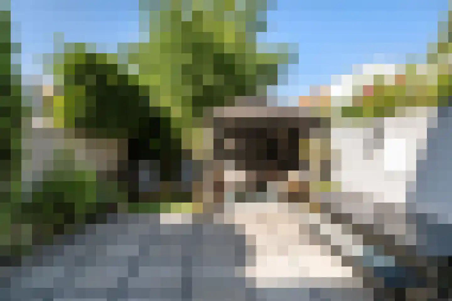 Hogelaan 3 Vlaardingen thumbnail 21