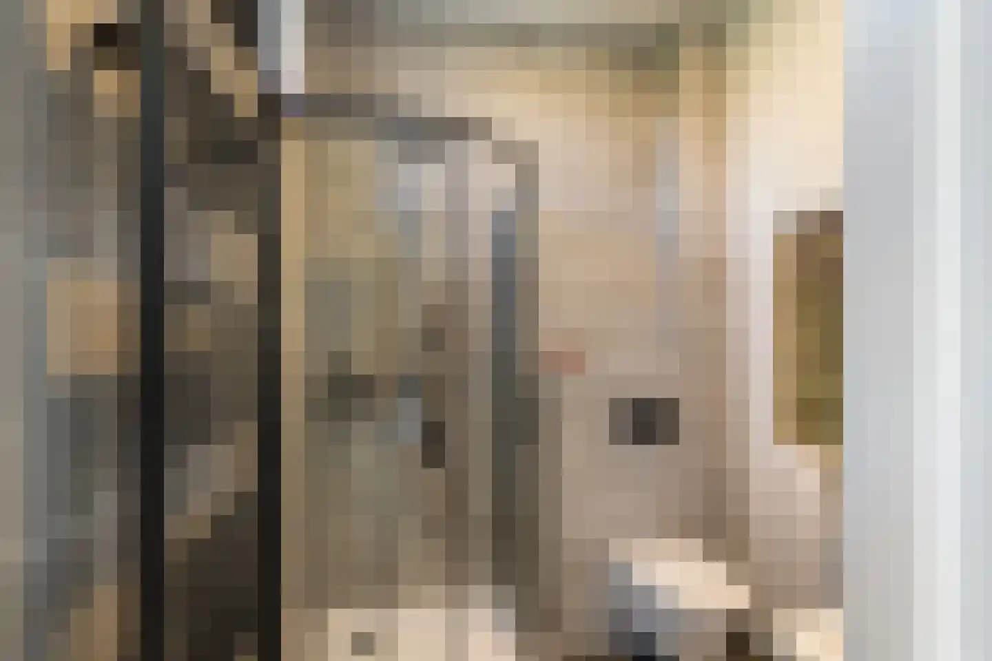 Hogelaan 3 Vlaardingen thumbnail 31