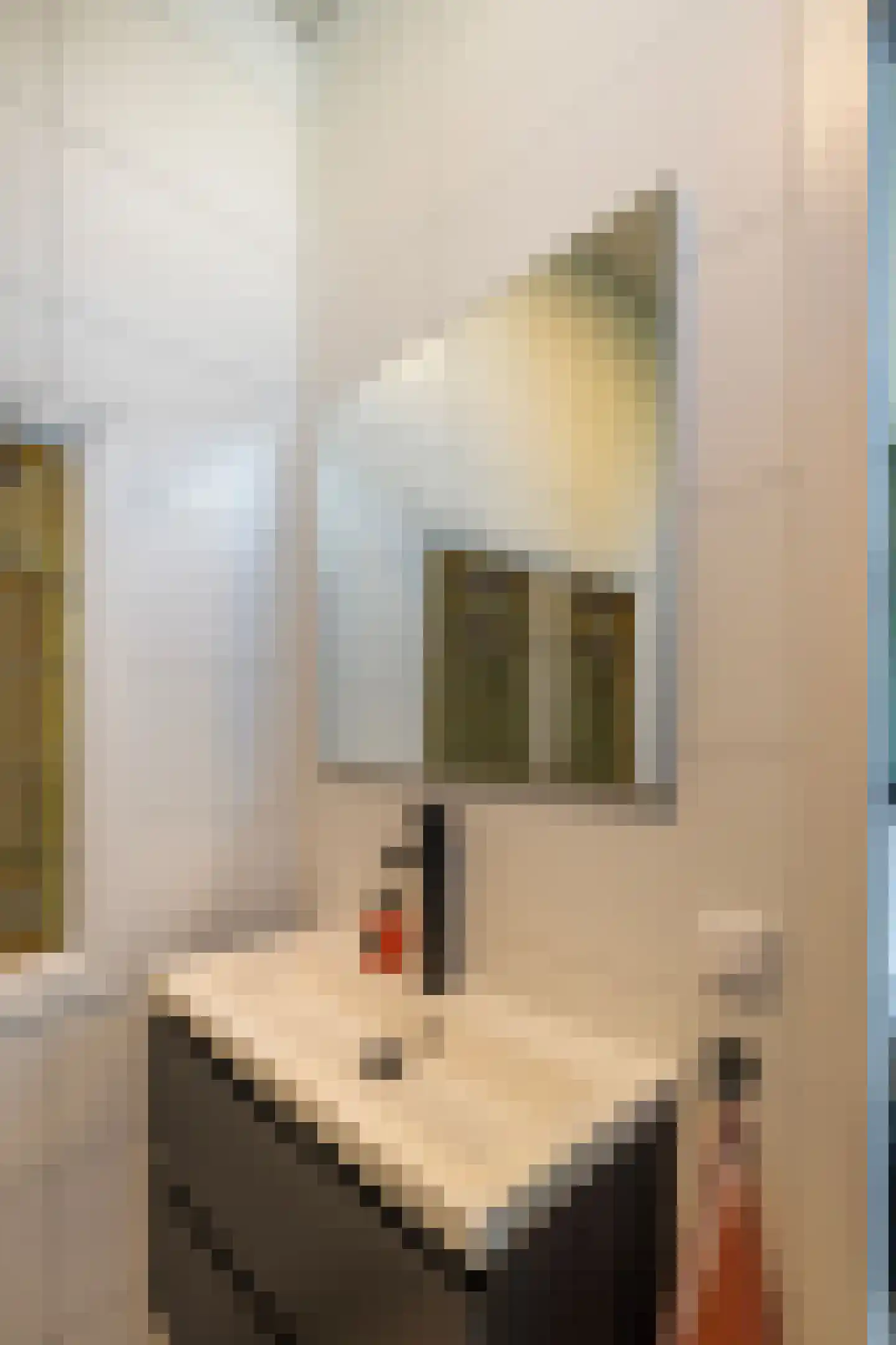 Hogelaan 3 Vlaardingen thumbnail 33