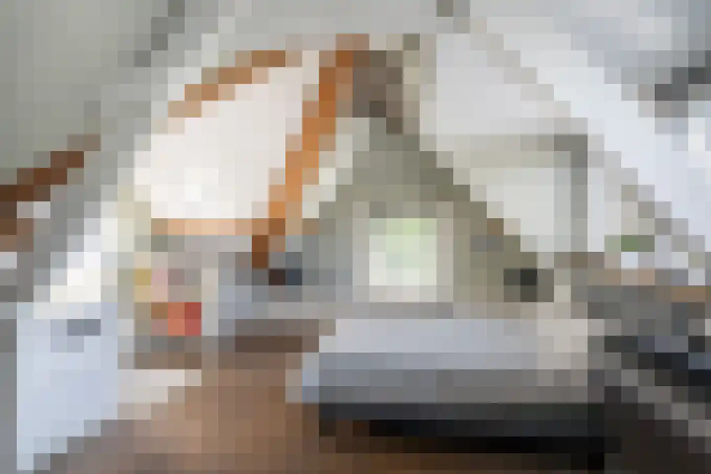 Hogelaan 3 Vlaardingen thumbnail 4