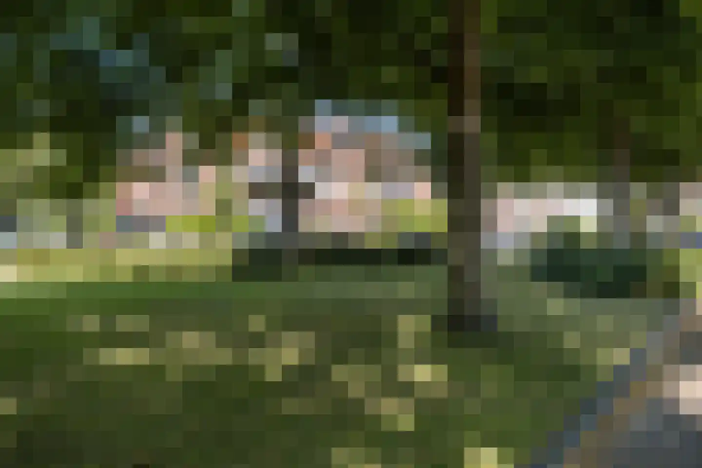 Hogelaan 3 Vlaardingen thumbnail 5