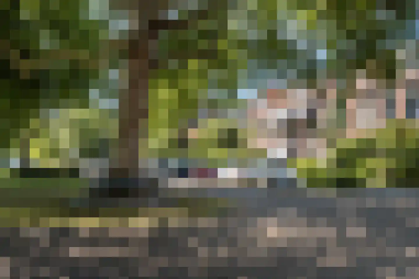 Hogelaan 3 Vlaardingen thumbnail 52
