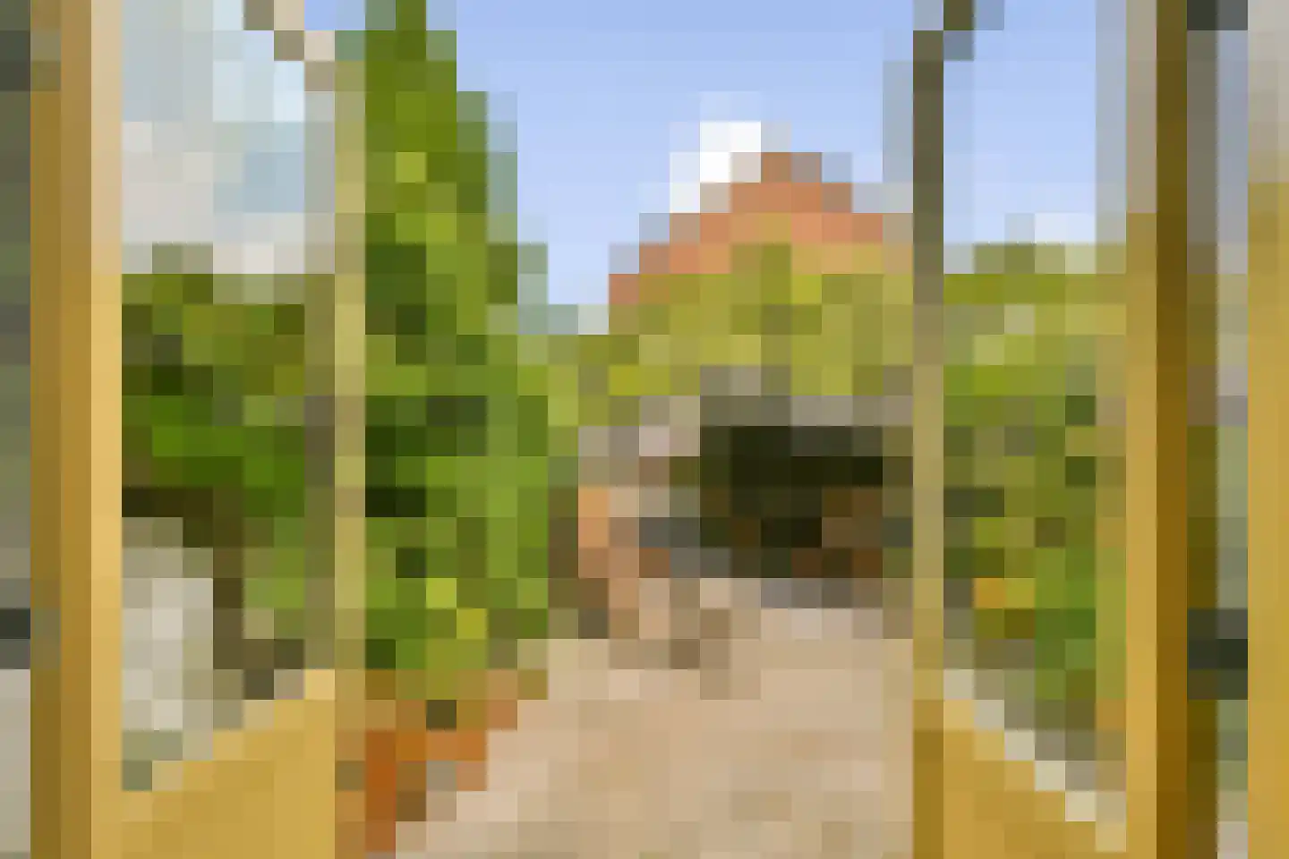 Hogelaan 9 Vlaardingen thumbnail 17