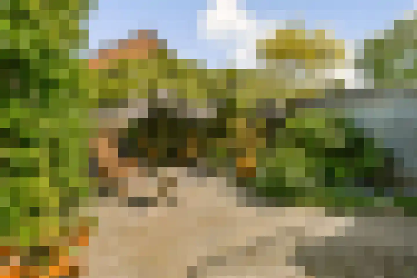Hogelaan 9 Vlaardingen thumbnail 18