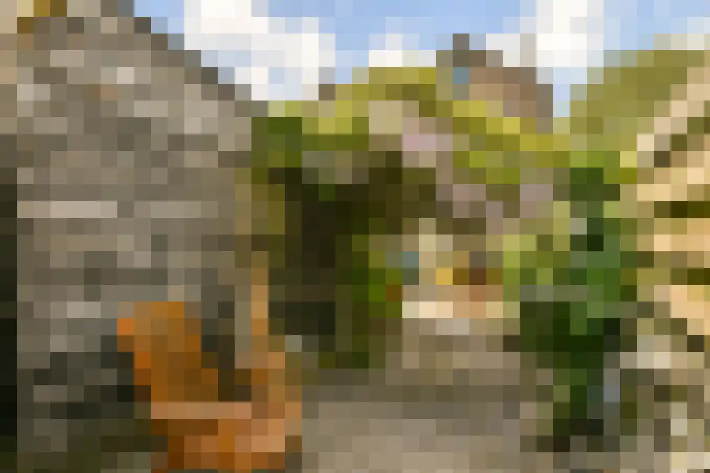 Hogelaan 9 Vlaardingen thumbnail 19